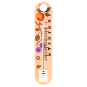 Термометр бытовой 1-2 Pro