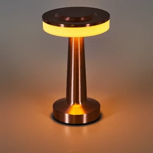 Настольная лампа Tendenza TZ-LL011 с регулируемым светом и сенсорным управлением 89389038