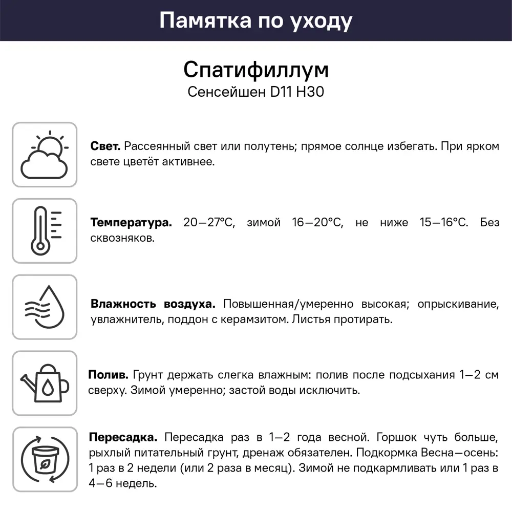 Спатифиллум ø11 h30 см 89409567 STLM-2137043 Santreyd  - Вид №4