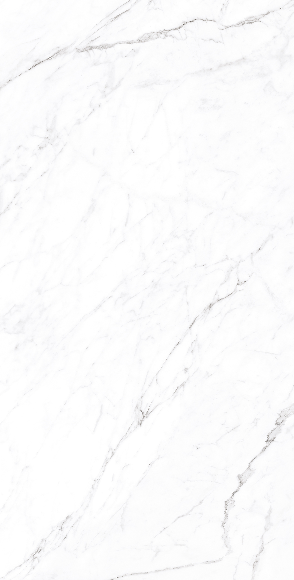 Белоснежный мраморный шедевр CORALINA WHITE CP4003-A Arcadia Ceramica - Вид №5