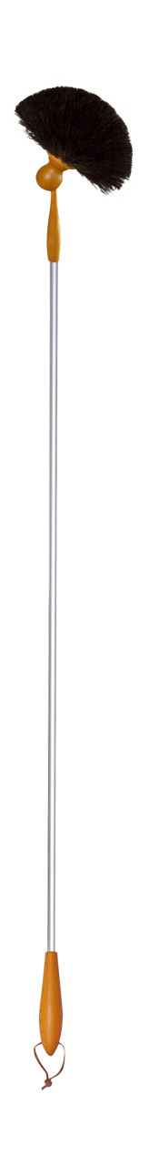 460612 Spider Sweep Buerstenwelt 