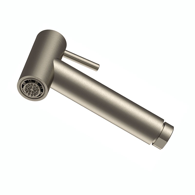 SS1006DC Ручной душ  DANIEL RUBINETTERIE Wellness - Вид №1