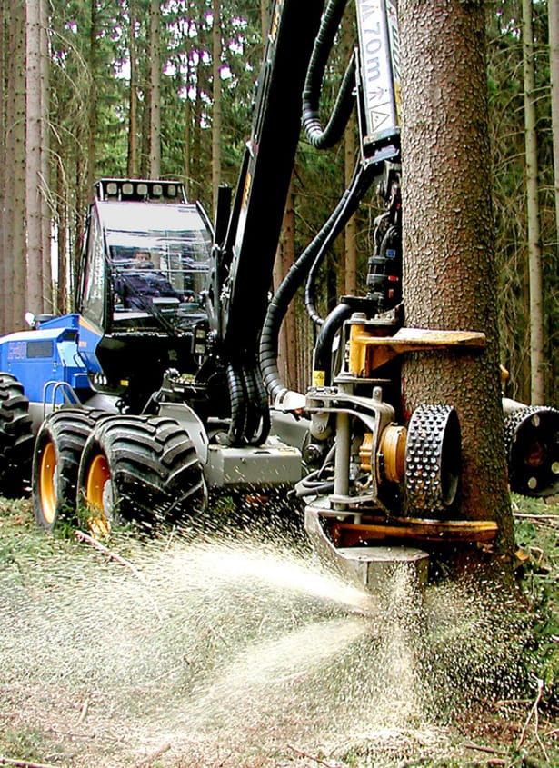 Поликарбонатный лист высокого оптического качества Polyvantis твердый лист LEXAN™ ARCH-00123547 - Вид №5