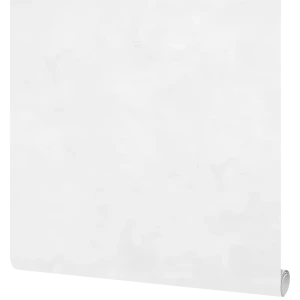 Обои флизелиновые Victoria Stenova Yakutia белые 1.06 м VS281821