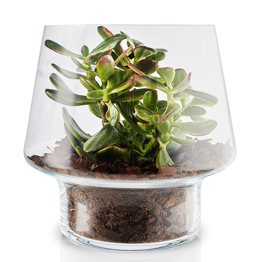 568188 Ваза для суккулентов, D21 см Eva Solo  - Вид №4