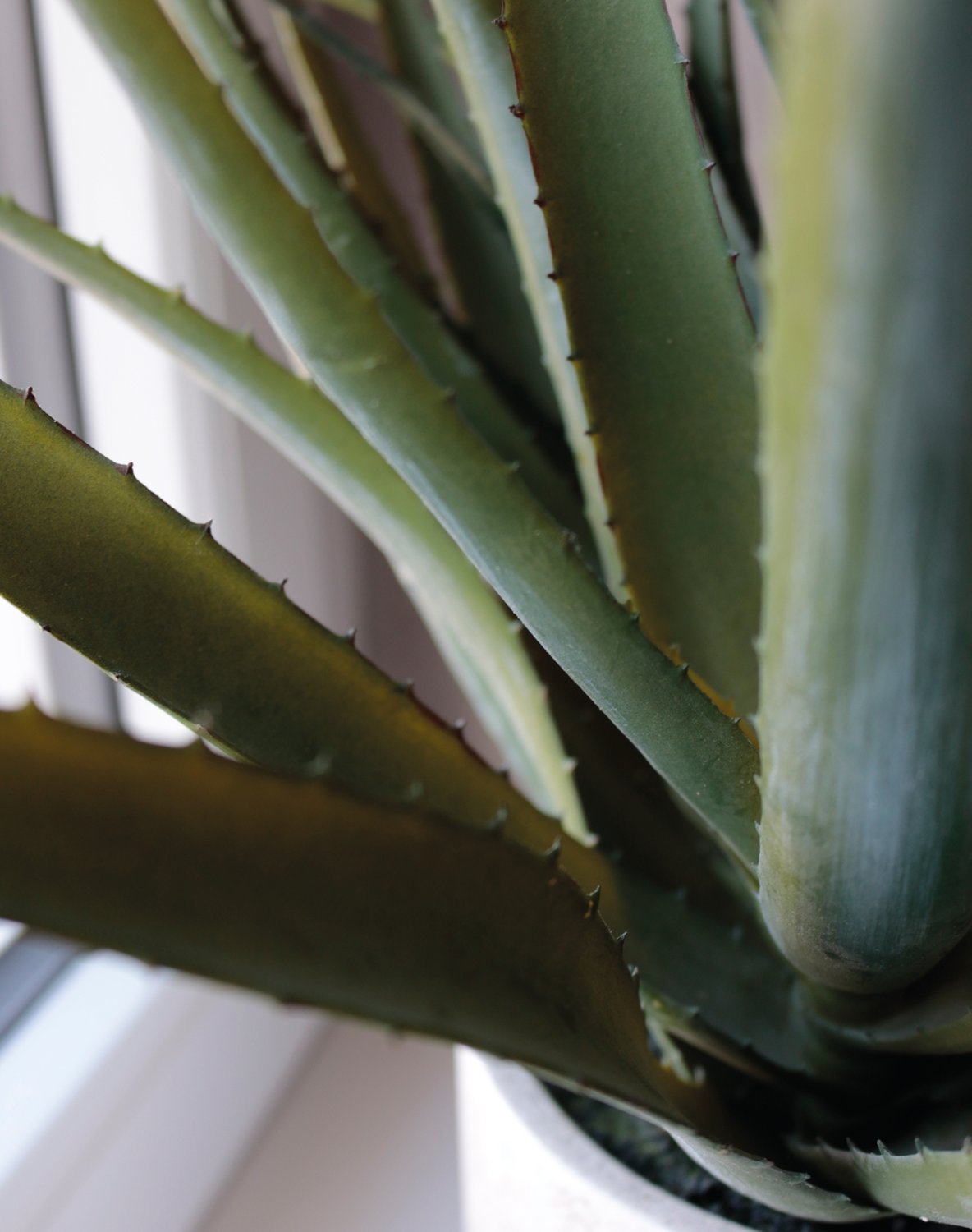 6152 883 a3 Искусственное алоэ, горшечное, 53 см, зеленое H-andreas  - Вид №13