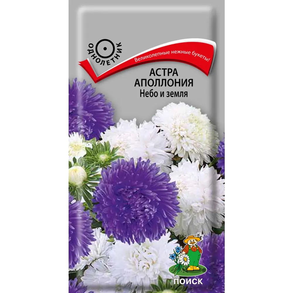 Семена цветов Поиск астра Аполлония Небо и земля STLM-2014154