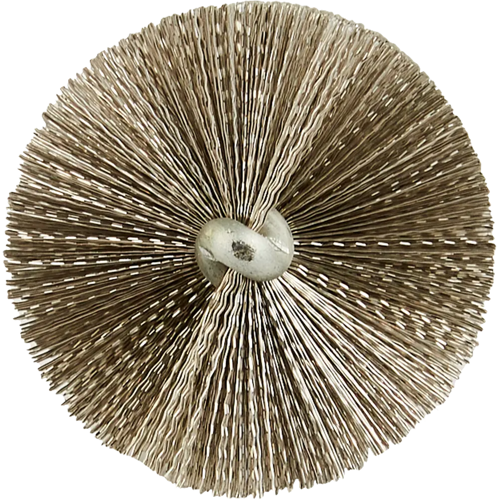 Спиральная щетка Dexter для дрели 32 мм - эффективная очистка труднодоступных зон 83686961 STLM-0846765 - Вид №1