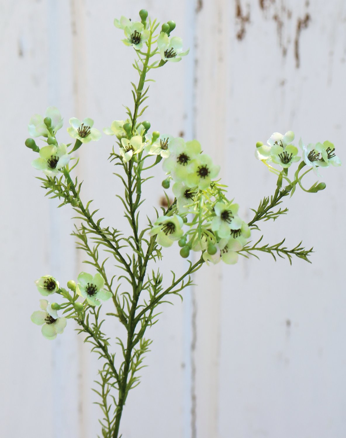 2021 788 a3 Растение из искусственного воска, 65 см, бежево-зеленое H-andreas  - Вид №1