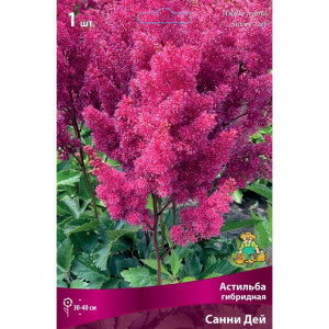 83599220 Астильба гибридная Санни Дей луковица I