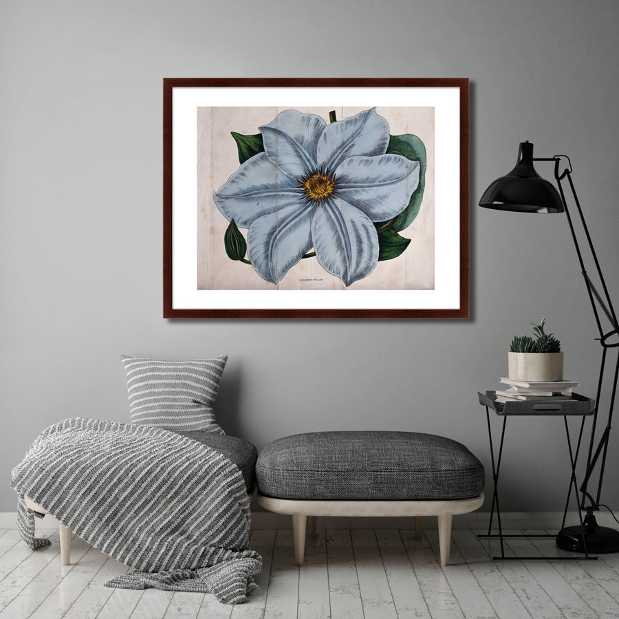 Картина в раме 78,5х100 см Exotic plants of the world №13, 1815г. КАРТИНЫ В КВАРТИРУ  264357 Голубой;зеленый;разноцветный  - Вид №2