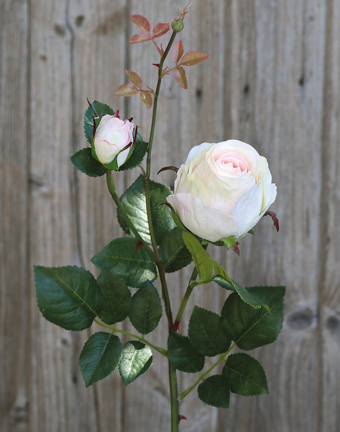 2628 705 a3 Шелковая роза, 1 цветок, 1 бутон, 80 см, бело-розовая H-andreas  - Вид №2