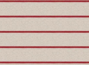 Gancedo Полосатая ткань Gran cañón Tl0582-001-130