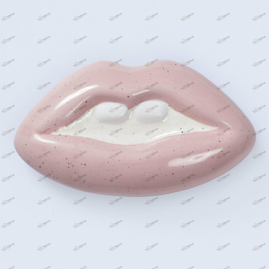 Коробка для хранения бело-розовая Mouth DOIY  00-3894912 Белый;розовый 
