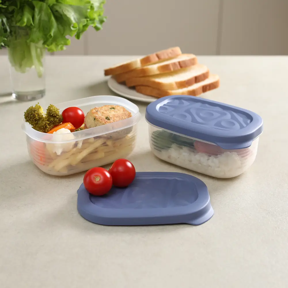 Контейнер для пищевых продуктов Флексо 650 мл полипропилен синий 2 шт Santreyd STLM-2047330 - Вид №6