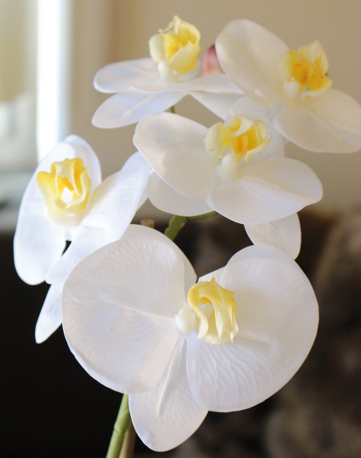 2596 778 a3 Пластиковая орхидея Phalaenopsis, горшечная, 43 см, real touch soft, бежево-белая H-andreas  - Вид №10