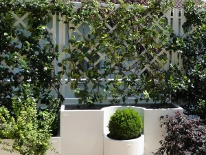 BLOSS Вертикальная зеленая решетка из металла