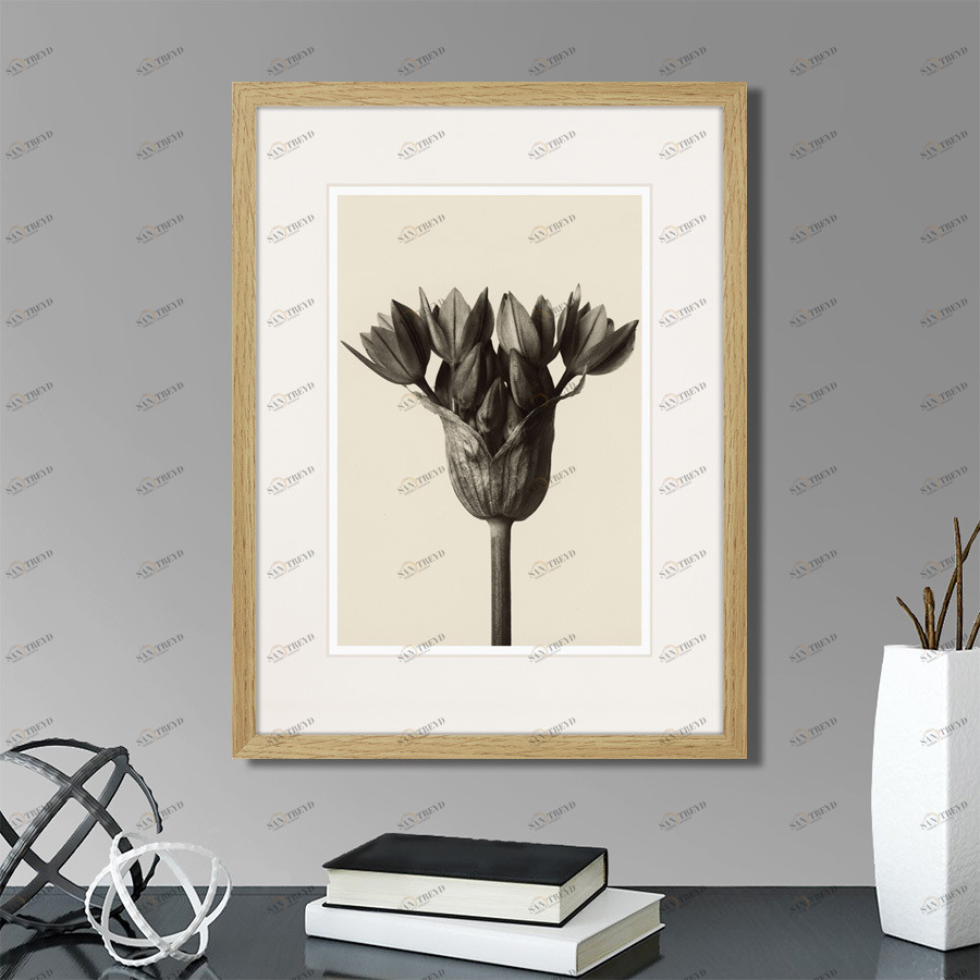 Картина: Botanical philosophy of forms №5, 1912г. КАРТИНЫ В КВАРТИРУ  264879 Разноцветный 