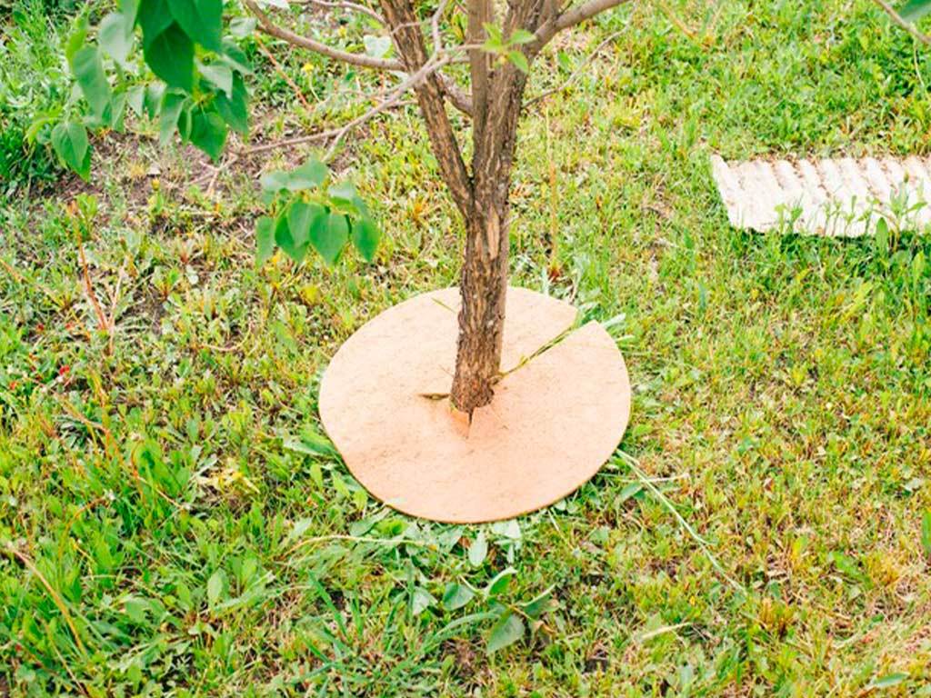 Круг приствольный Мульчаграм 90 см, комплект - 5шт ГеоПластБорд GPBST-246 - Вид №5