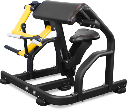 PL-1713 Bronze gym pl-1713 бицепс Bronze Gym 