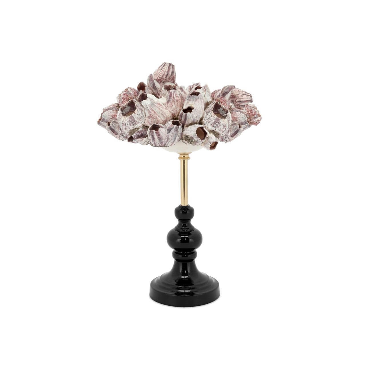 600851-00 ABHIKA СТЕНД KRIZIA FOSSIL NATURAL 