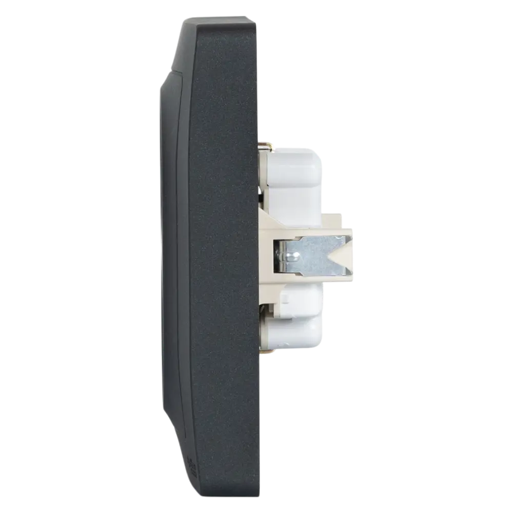 Розетка двойная встраиваемая Systeme Electric Blanca с заземлением цвет антрацит STLM-2140122 - Вид №3