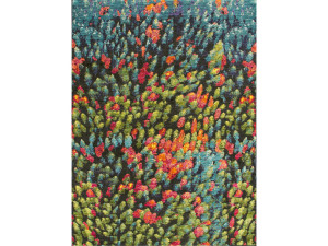 Прямоугольный шерстяной ковер