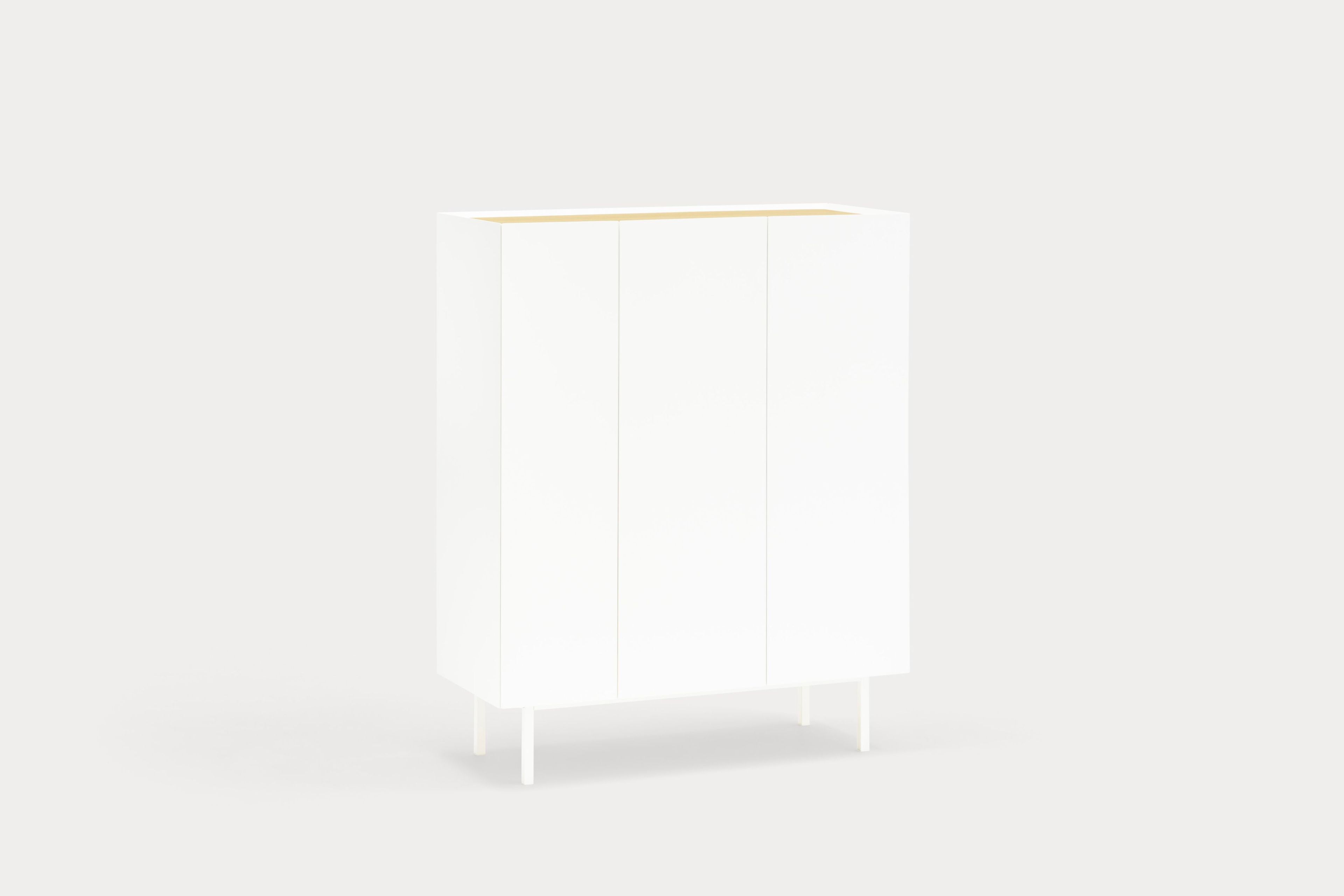 Шкаф из МДФ с распашными дверцами TEULAT Arista ARCH-00118219 - Вид №22