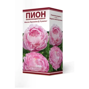 Пион травянистый Миссис Франклин Д.Рузвельт луковица 2-3 83600242 STLM-2181734