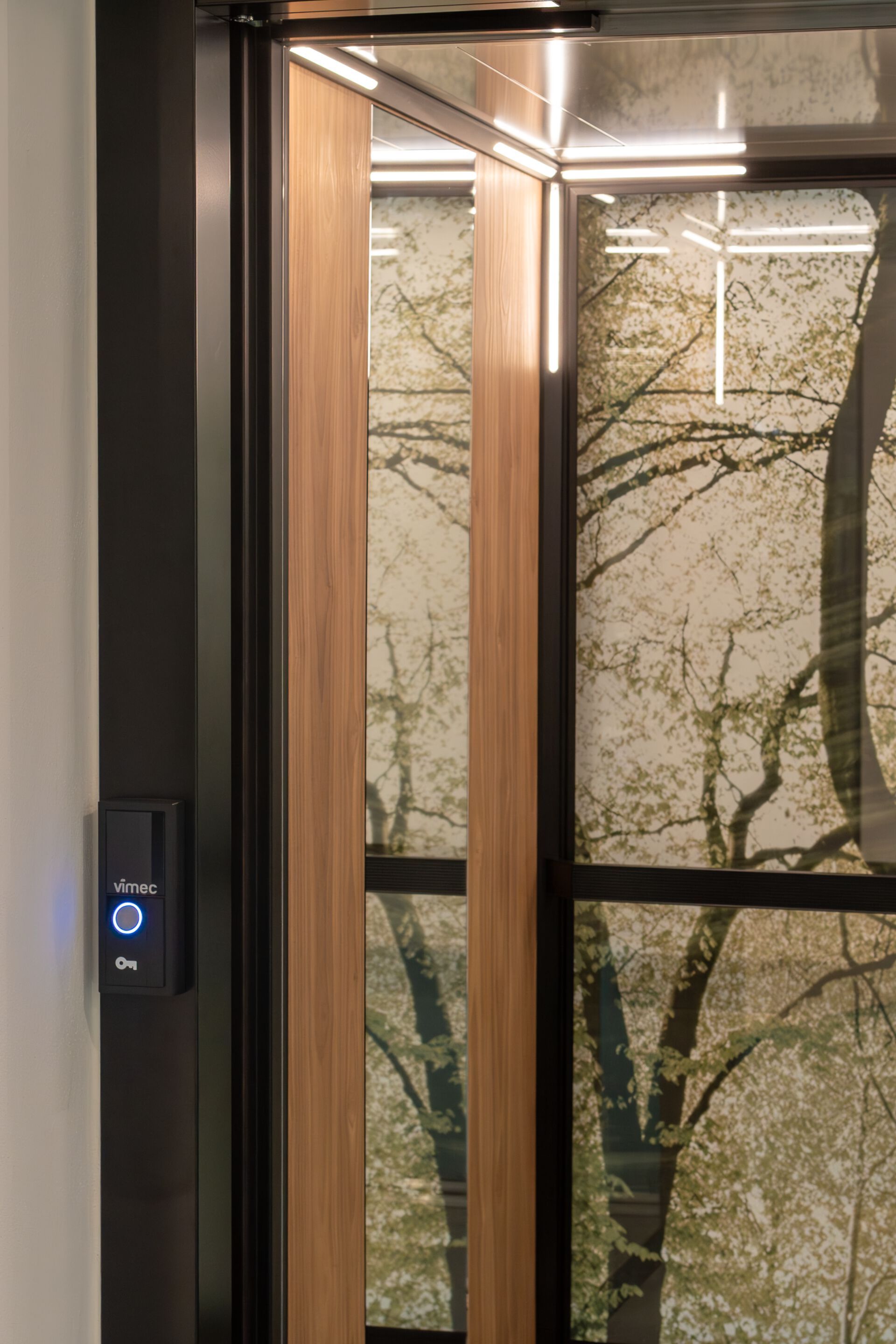 Настраиваемый лифт Vimec HOME LIFT AR:IA ARCH-00120072 - Вид №18