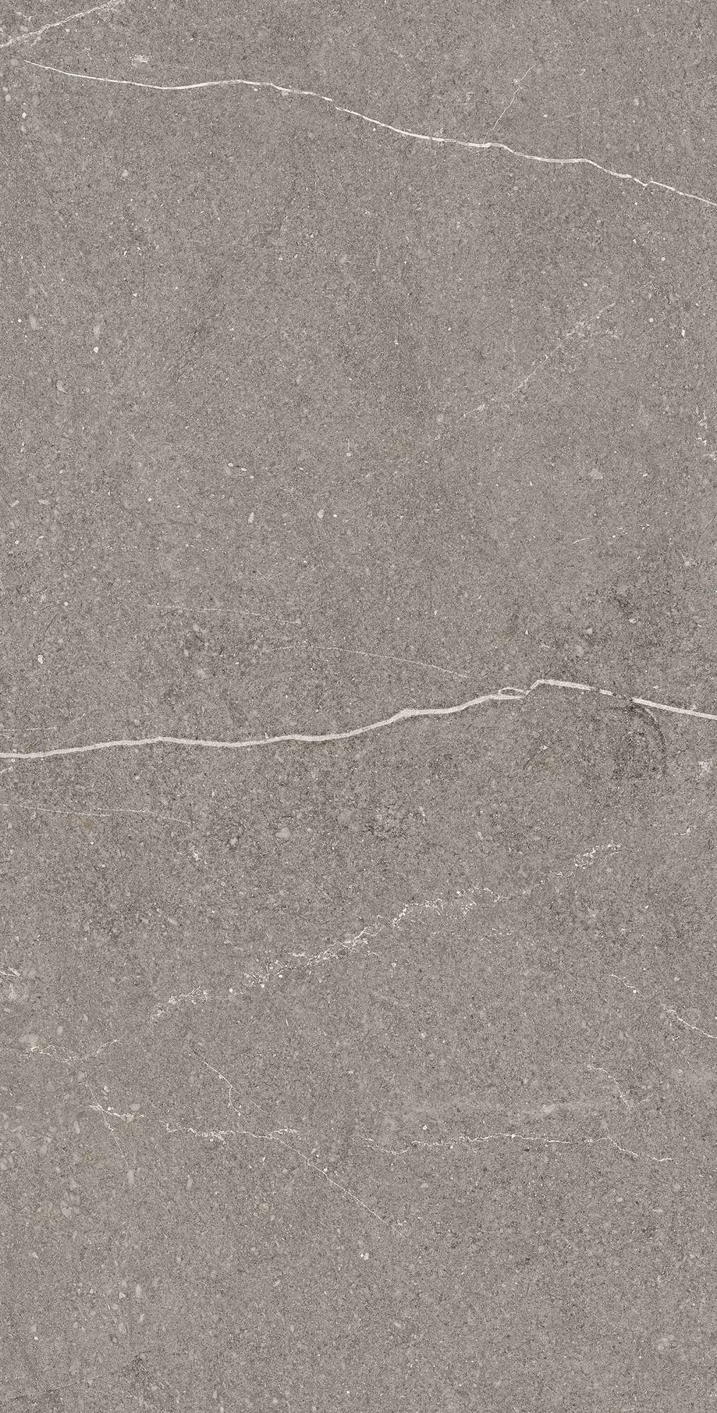 Графитовая элегантность EQUISTONE RG6002-A Arcadia Ceramica - Вид №5