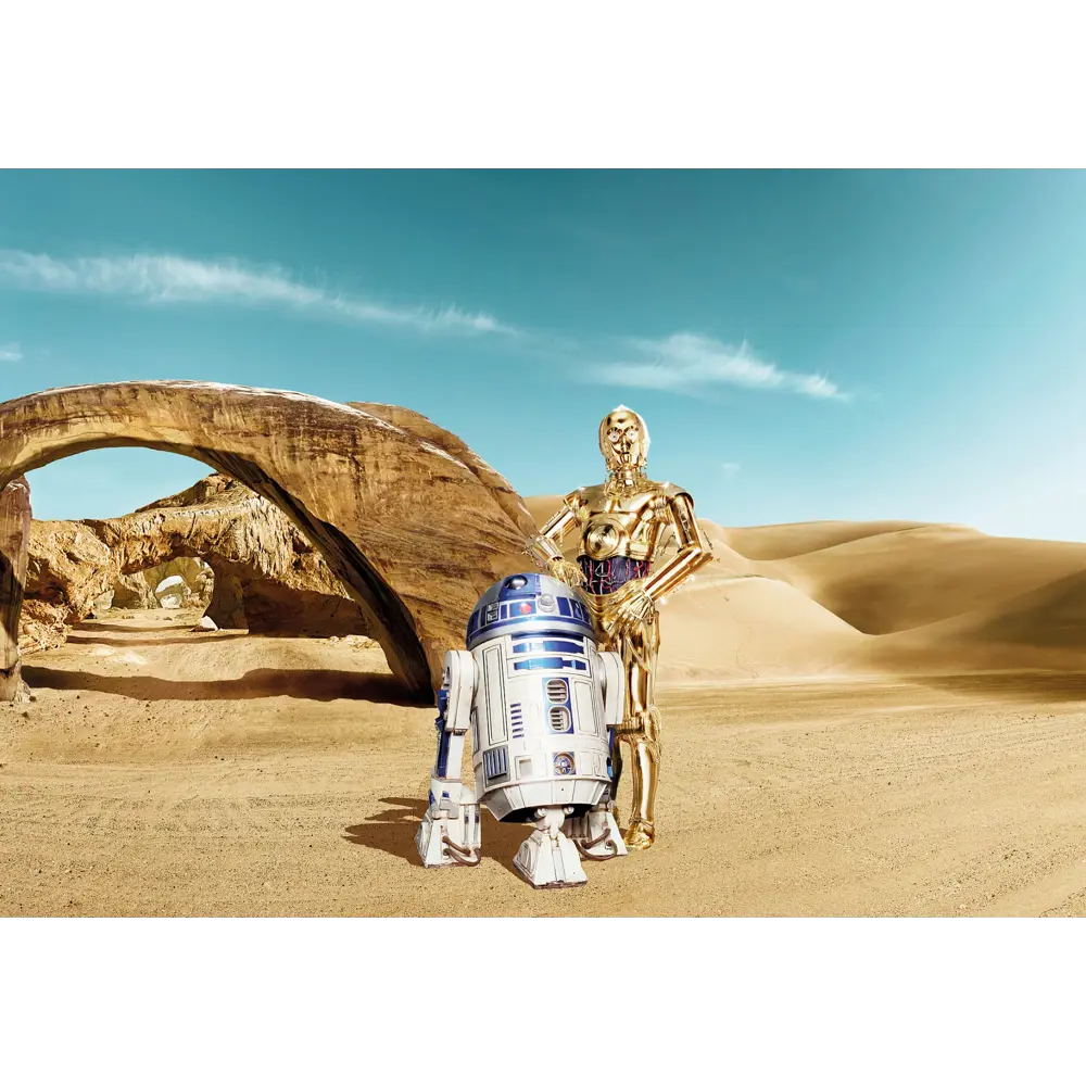 Фотопанно бумажное «Star Wars Droid» 368х254 см 17831783 STLM-2057208 Komar Disney/Marvel/Star Wars