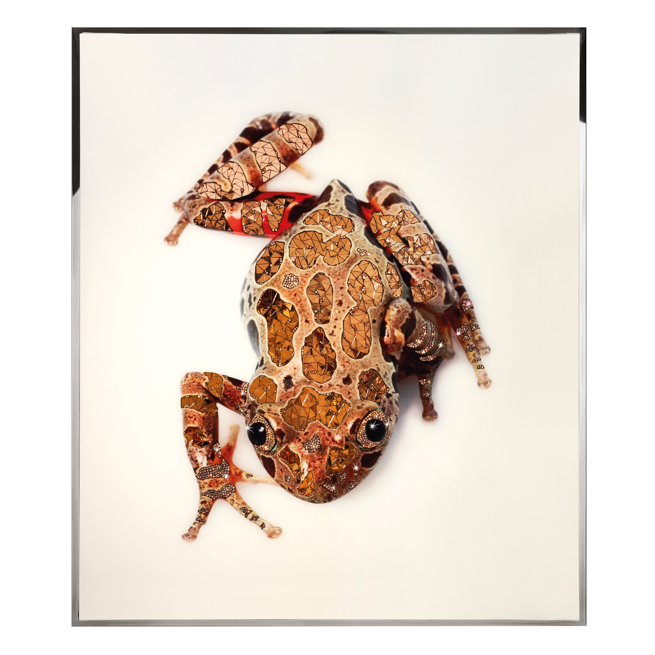 Rana Смешанная техника Visionnaire  - Вид №1