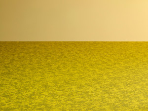 Нейлон®сплошной цвет ковер