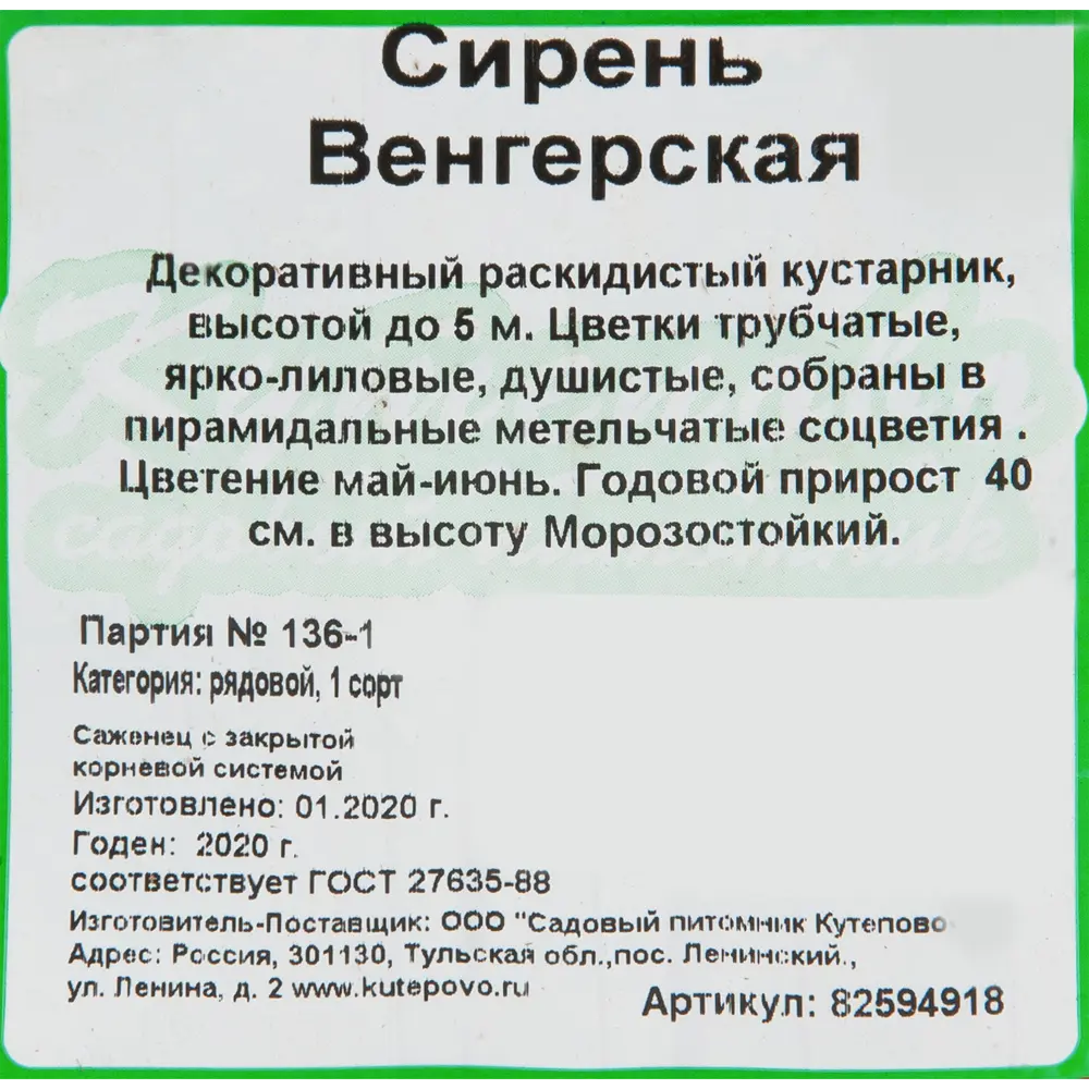 Сирень венгерская 15x40 см 82594918 STLM-2005477 Santreyd  - Вид №1