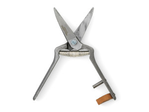 Ножницы для растений