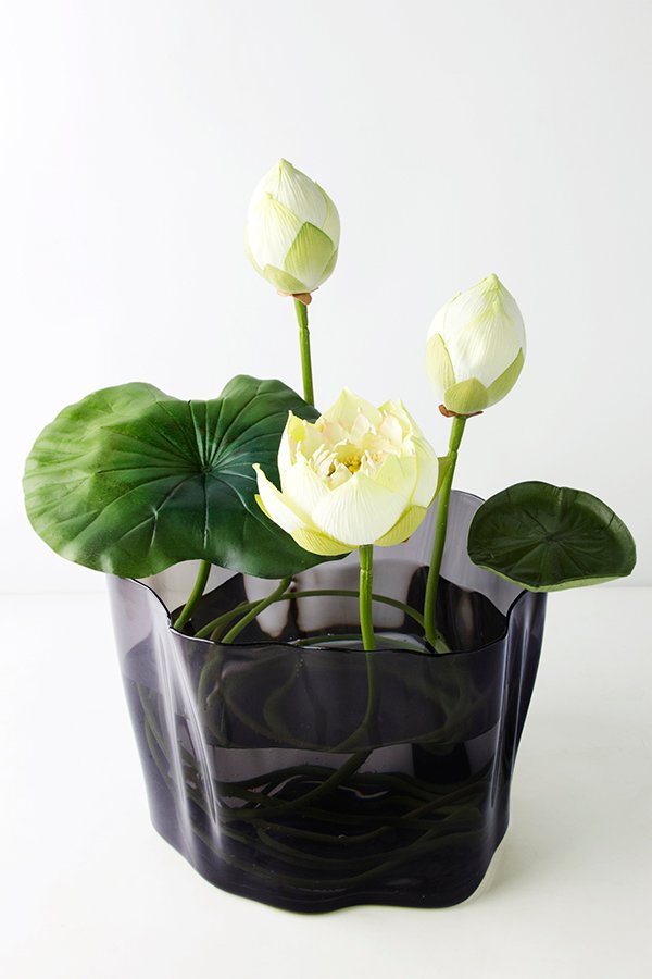 Органайзер черный прозрачный средний Flow QUALY  00-3872241 Прозрачный;черный  - Вид №3