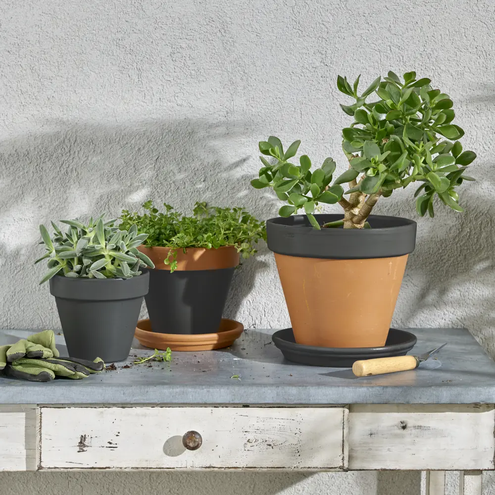 Аэрозольная эмаль Luxens матовая антрацитово-серый 520 мл 83237429 STLM-0039782 - Вид №5