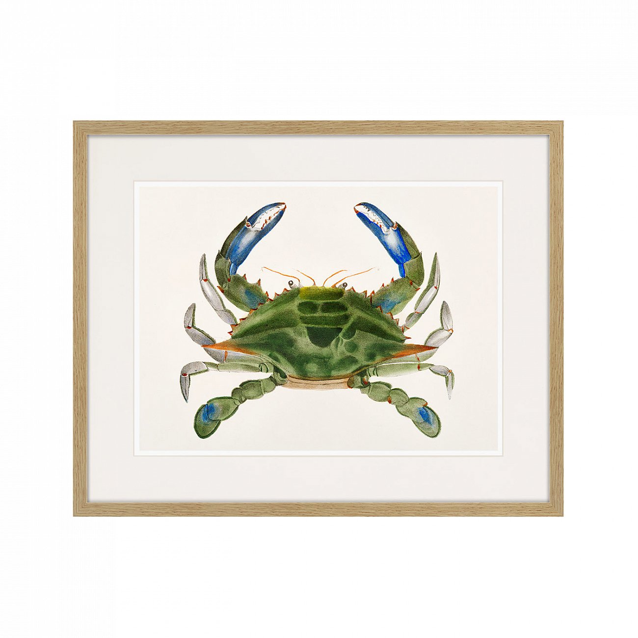 Картина: Marine life №1, 1725г. КАРТИНЫ В КВАРТИРУ  264303 Разноцветный  - Вид №1