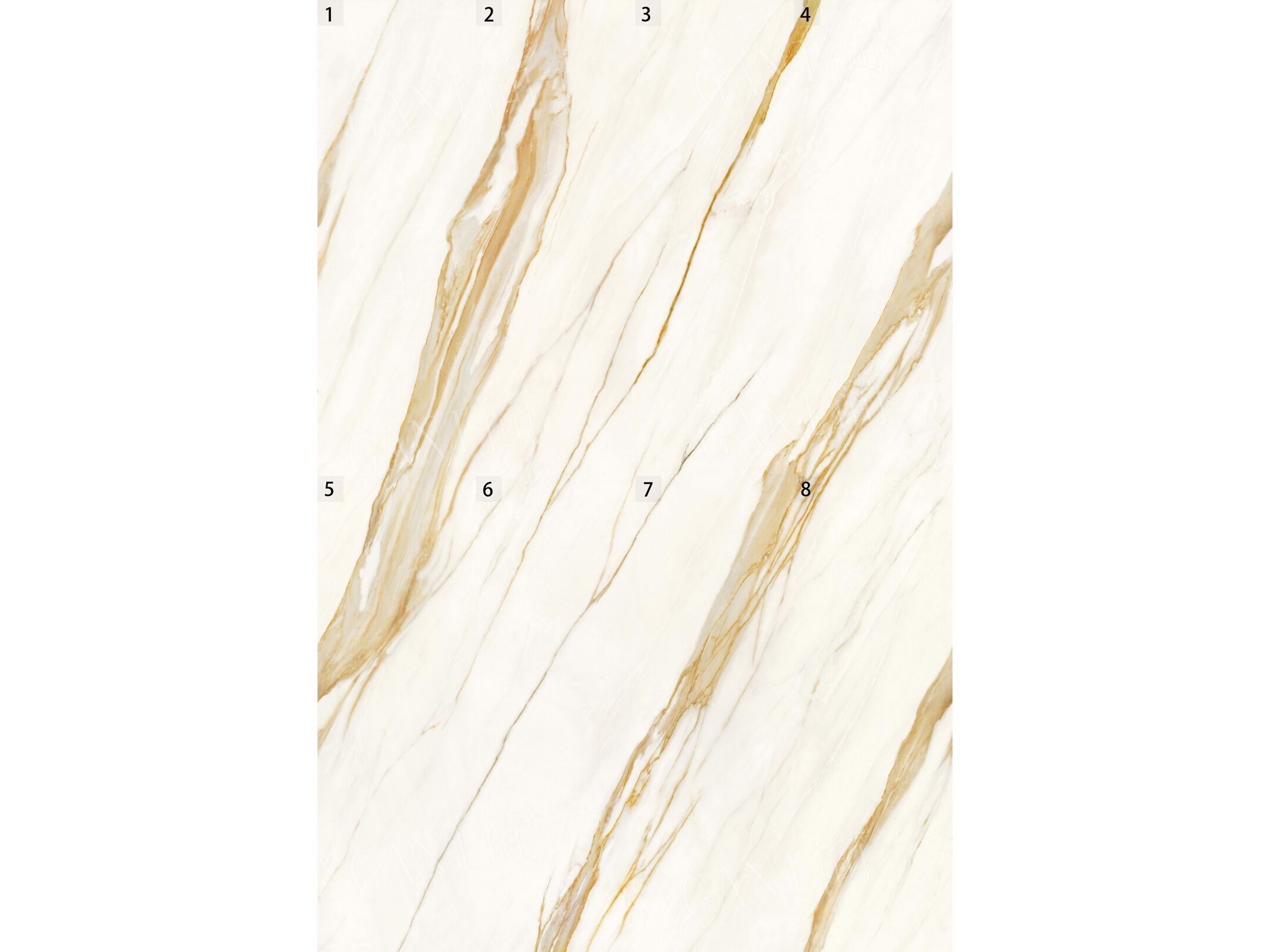Мраморный пол / покрытие GANI MARBLE TILES ORO CARRARA ARCH-00140458 - Вид №2