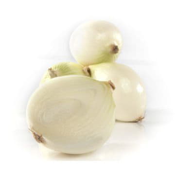 Лук белый Santreyd 2115