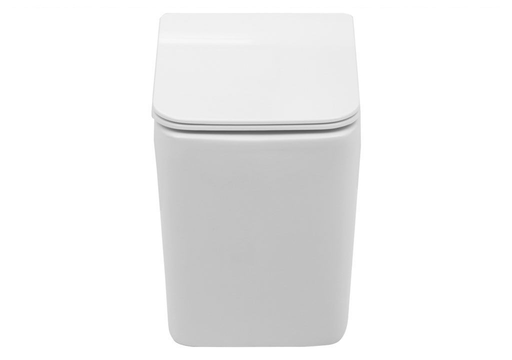 BL103NFST Приставной унитаз напольный Белый Aquanet TAVR Китай - Вид №1