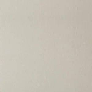 Рулон обоев NEWTON NTN26660333. Основа аппликация