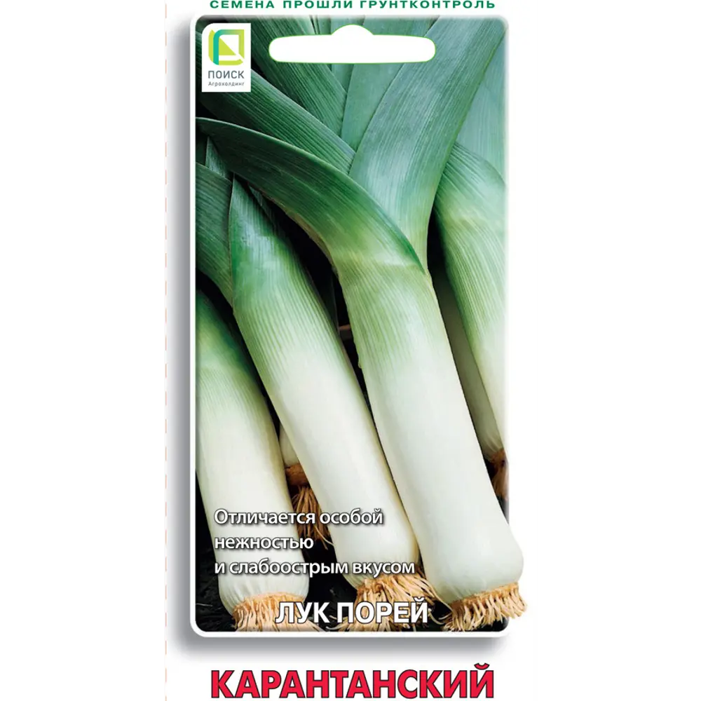Семена лука порея Карантанский ПОИСК - для богатого урожая зелени 89401107 STLM-1576754