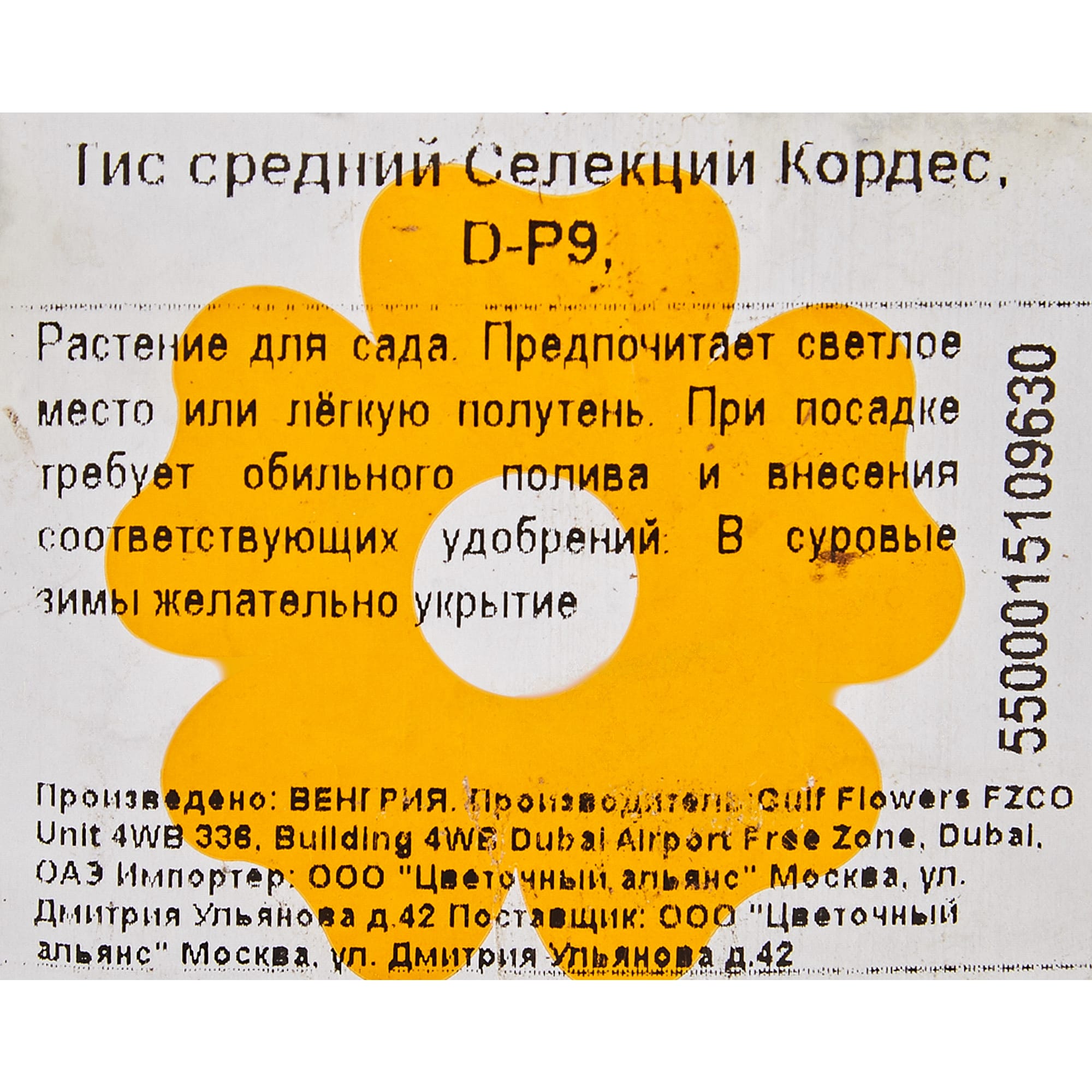 82601621 Тисс средний «Селекции Кордес» 9x20 см Santreyd  - Вид №2