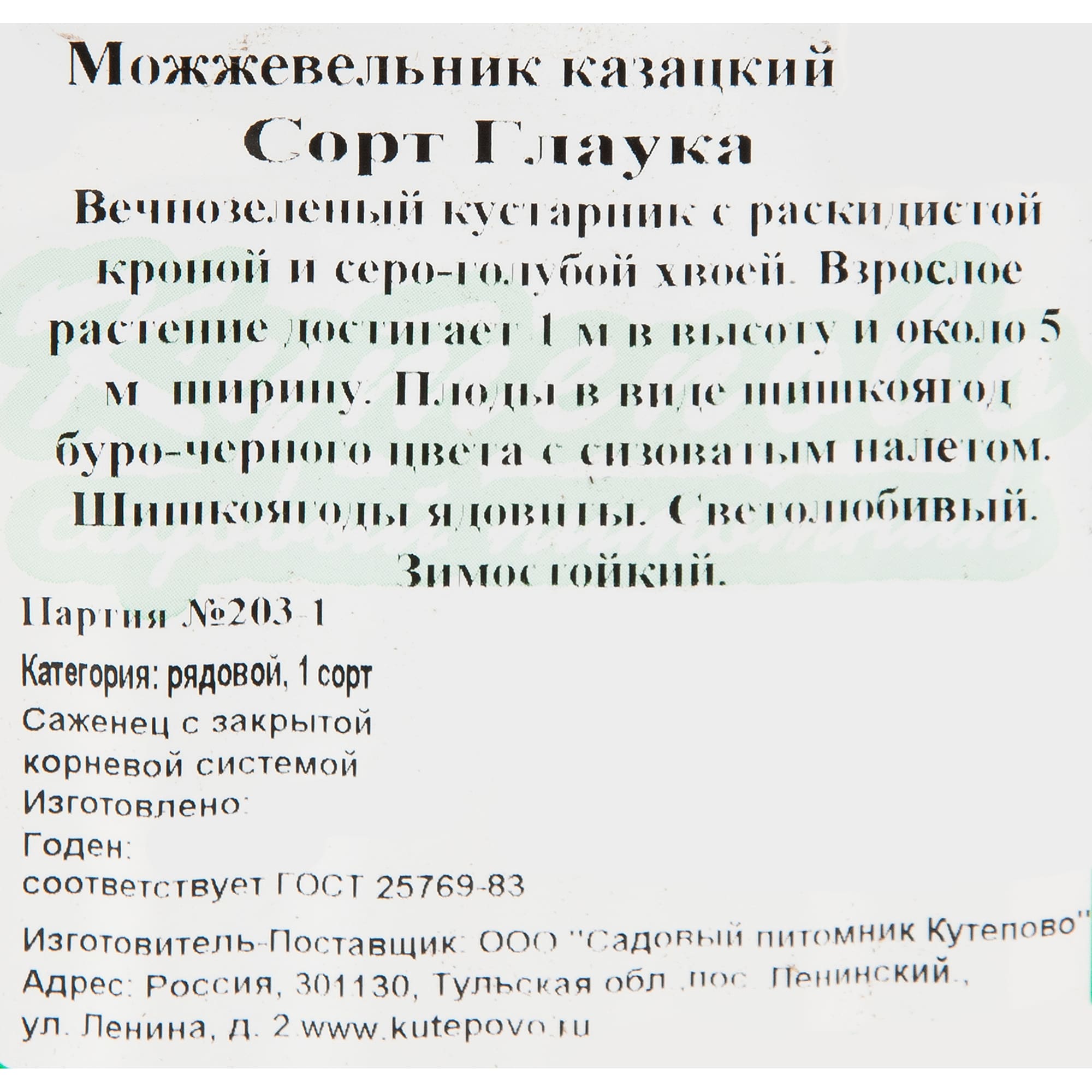 82596782 Можжевельник казацкий Глаука 15x30 см Santreyd  - Вид №1