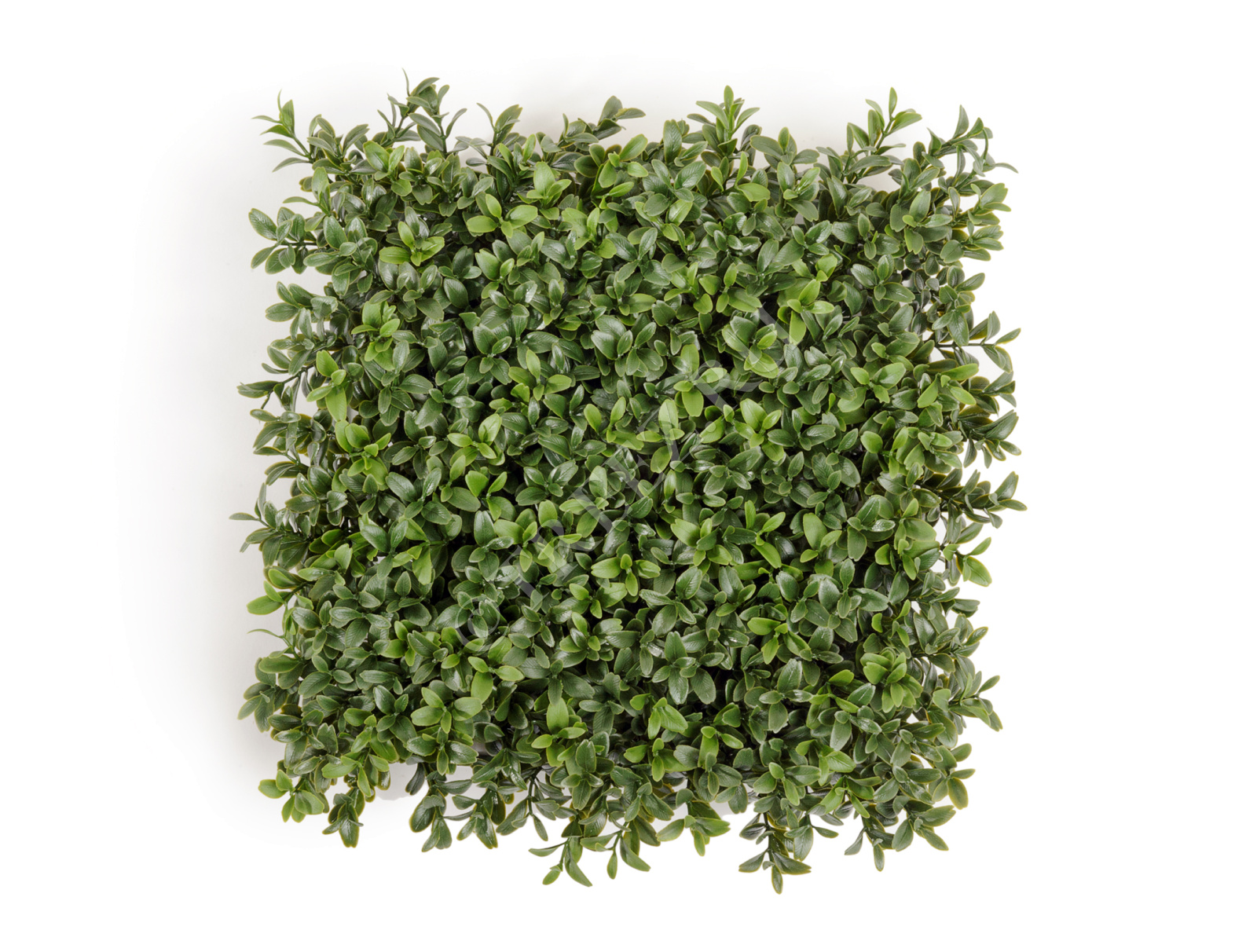 20.5926CP Коврик Самшитовый Новый (пластик) Цветочная коллекция 