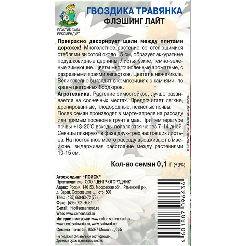 Гвоздика травянка Флэшинг Лайт от ПОИСК - фиолетовый ковер для сада 89401257 STLM-1568291 - Вид №1