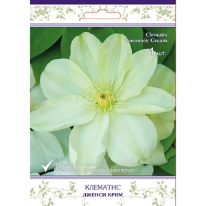 Клематис крупноцветковый Дженси Крим h15 см 83431367 STLM-2132699