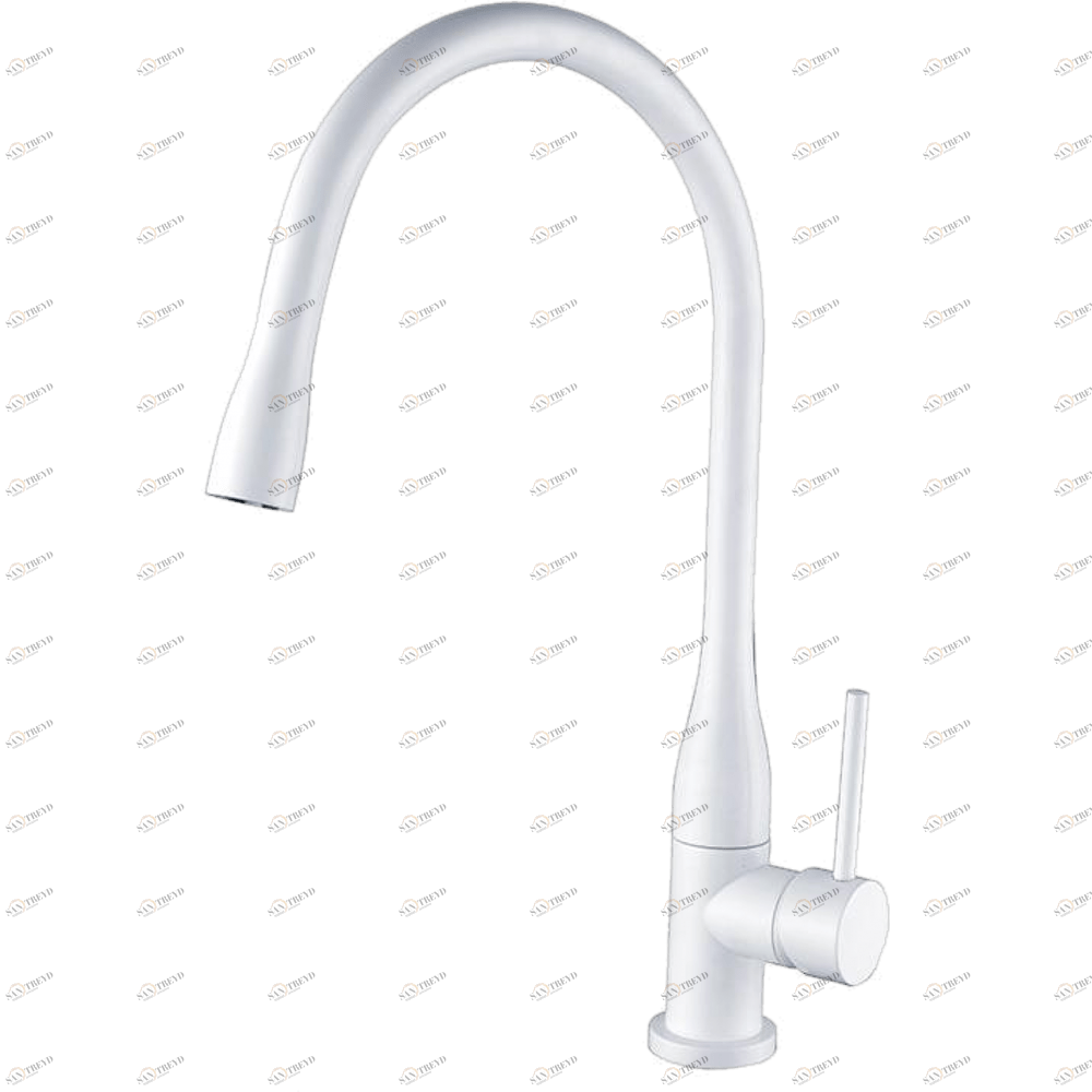 GZ 16035F Смеситель для кухни Ganzer Белый Ganzer Германия 14008